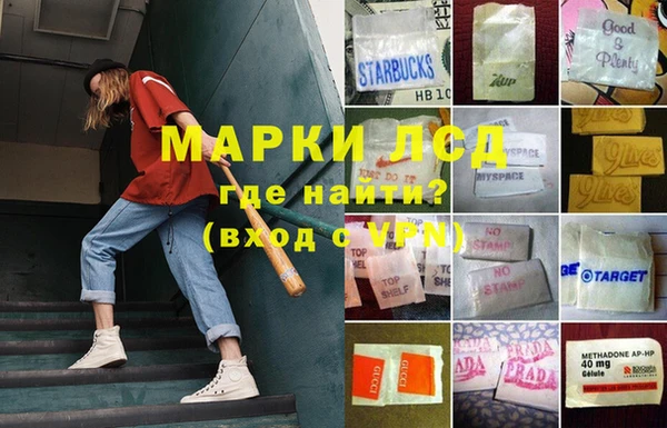 прущие грибы Володарск