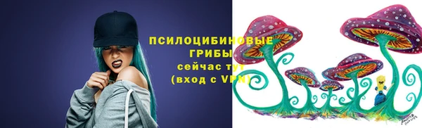 прущие грибы Володарск