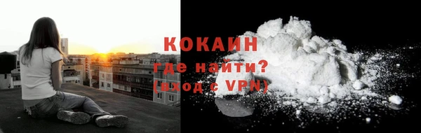 прущие грибы Володарск