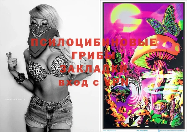 дурь Волосово