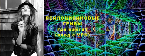 гашик Арсеньев