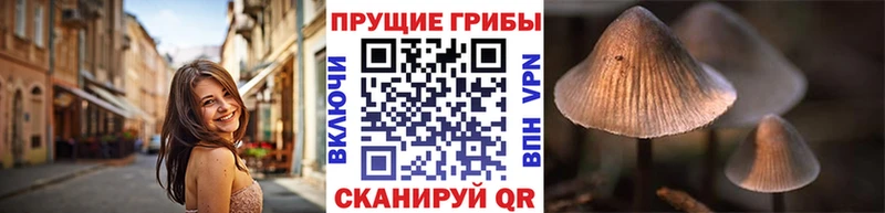 Псилоцибиновые грибы мицелий  Купить закладки  Нытва 